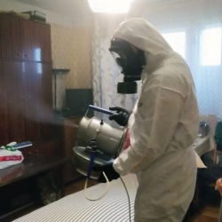 Дезинфекция от клопов в Ялте